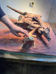 -Zoolung Zoolung动物主题公园(海信广场店)