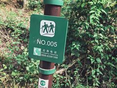 -海南热带雨林国家公园吊罗山景区