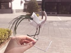 -洪泽湖古堰景区