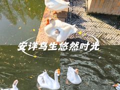 -苏州文庙(姑苏区)