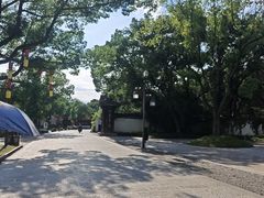 -鲁镇