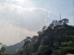 -缙云山景区