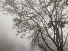 -句容茅山景区