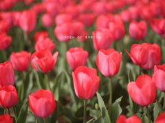 -陕西省西安植物园