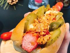 热狗-DK45丹麦家居生活馆·依诺维绅(798店)