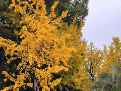 -苏州河梦清园环保主题公园