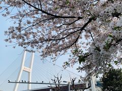 -上海南浦大桥长途旅游客运站
