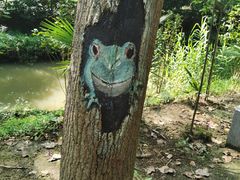 -合肥滨湖国家森林公园