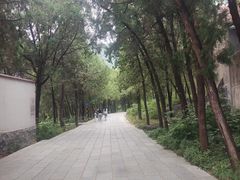 -泰山风景名胜区-普照寺