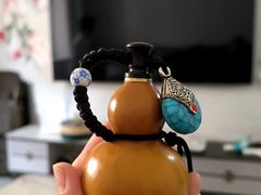 -中环花鸟鱼虫市场