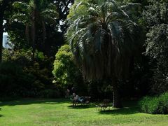 -墨尔本皇家植物园