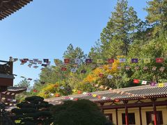 -庐山风景名胜区-东林大佛