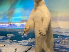 -陕西自然博物馆