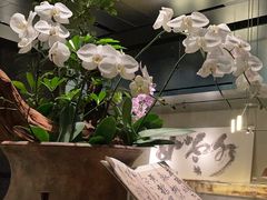 -晶采轩(万象天地店)