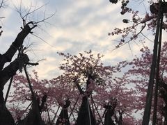 -万顷园艺世界