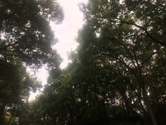 -西郊宾馆·1921餐厅
