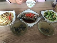 -田螺阿姨自营月嫂·育儿嫂(高新店)