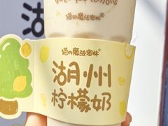 -猫的魔法密林(衣裳街店)