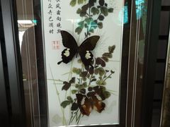 -蝴蝶泉公园