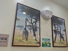 -美联众合动物医院·24h转诊中心