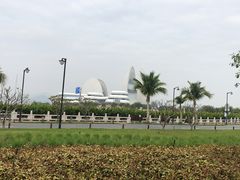 -野狸岛