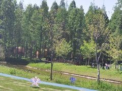 -黄海国家森林公园