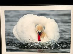 -罗红摄影艺术馆