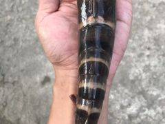 -礁美村海里捞旅游有限公司