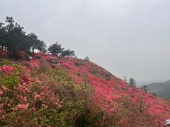 -木兰云雾山