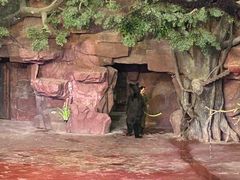 -长鹿旅游休博园