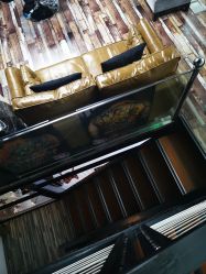 -雕哥的纹身店A3 TATTOO&纹身培训