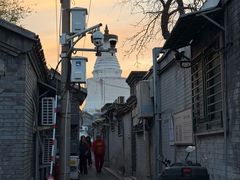 -杏园餐厅(西四北大街店)