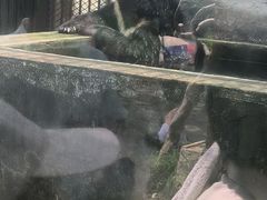 -南昌动物园