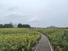 -苏州湾体育公园
