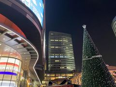 -煲宫猪肚鸡(晶品店)