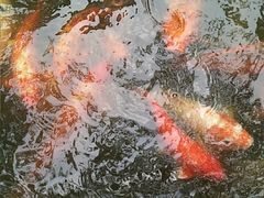 -南山风景名胜区