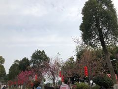 -仙岳公园