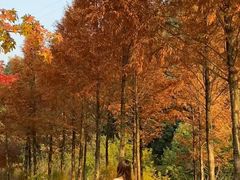 -长春市南湖公园