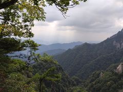 -王顺山国家森林公园
