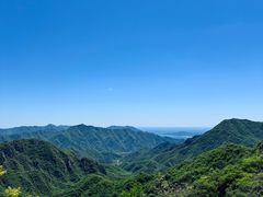 -大岭沟猕猴桃谷风景区