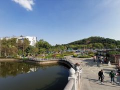 -大屏嶂森林公园