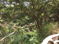 -越王山风景区
