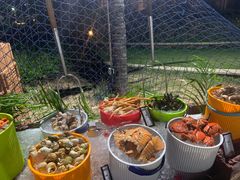 -亚龙湾希尔顿自助餐厅·海鲜·烧烤·沙滩BBQ·现场乐队