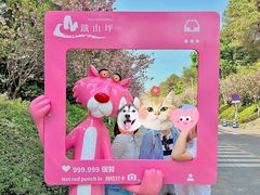 -铁山坪森林公园