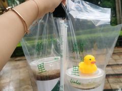 -LINLEE·手打柠檬茶(思北店)