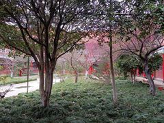 -开福禅寺