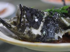 石斑鱼清蒸-四川小胡子海鲜(丁村万人海鲜广场店)