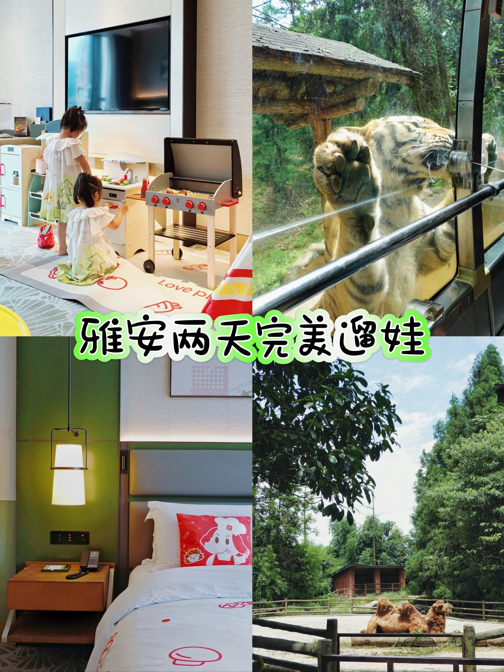 成都周边|雅安staycation亲子周末