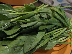 -龍歌自助小火锅(秦淮水游城店)