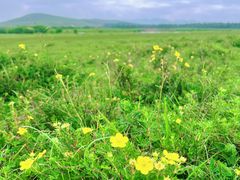 -塞罕坝国家级自然保护区